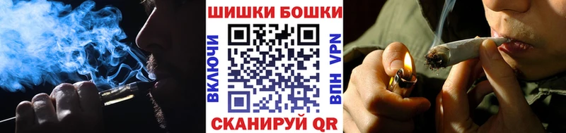Купить где  Мглин  Конопля конопля 